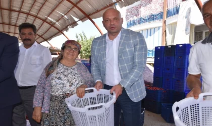 Biber üretiminde Çalışan Kadınlara Koruyucu Ekipman