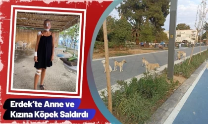 Erdek’te Anne ve Kızına Köpek Saldırdı