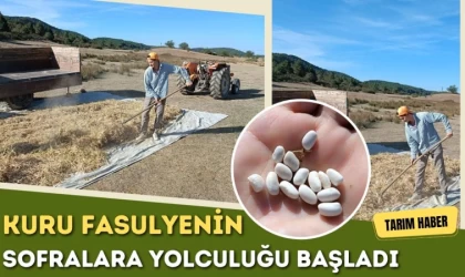 Kuru Fasulyenin Sofralara Yolculuğu Başladı