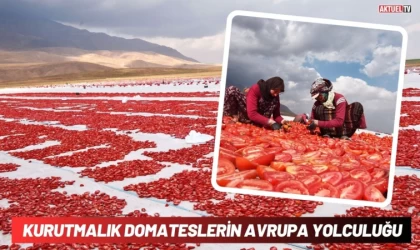 Kurutmalık Domateslerin Avrupa Yolculuğu