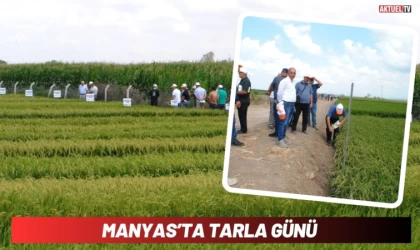 Manyas’ta Tarla Günü