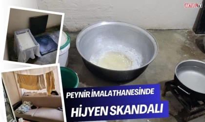 Peynir İmalathanesinde Hijyen Skandalı