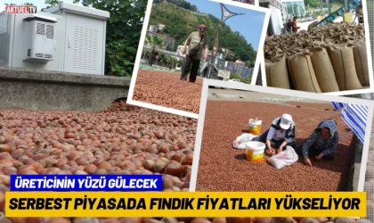 Serbest Piyasada Fındık Fiyatları Yükseliyor