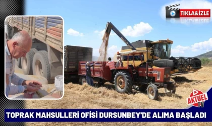 Toprak Mahsulleri Ofisi Dursunbey'de Alıma Başladı