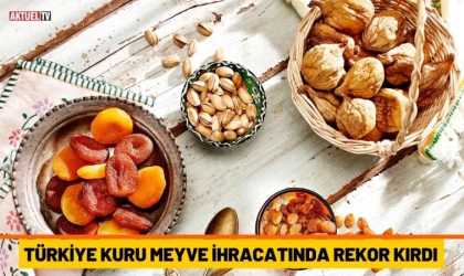 Türkiye Kuru Meyve İhracatında Rekor Kırdı