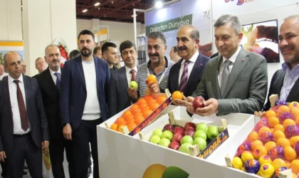 Yaş Meyve Sebze Sektörü 4 Milyar Dolar Hedefliyor