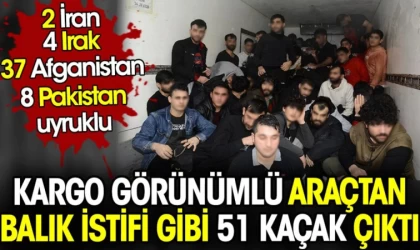 Kamyonetten Balık İstifi 51 Kaçak Göçmen Çıktı