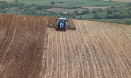 Manyas'ta Ayçiçek Alımları Sona Erdi