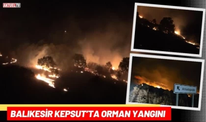 Balıkesir Kepsut’ta Orman Yangını