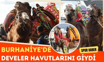 Burhaniye’de Develer Havutlarını Giydi