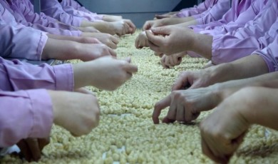 Fındık İhracatı Azalıyor