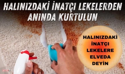 Halınızdaki İnatçı Lekelerden Anında Kurtulun
