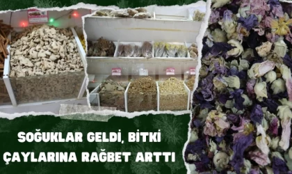 Soğuklar Geldi, Bitki Çaylarına Rağbet Arttı