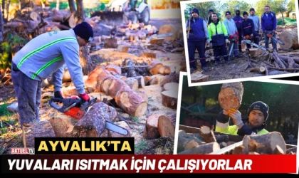 Ayvalık’ta Yuvaları Isıtmak İçin Çalışıyorlar