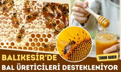 Balıkesir’de Bal Üreticileri Destekleniyor