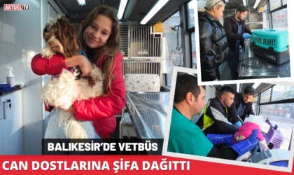 Balıkesir’de VETBÜS Can Dostlarına Şifa Dağıttı