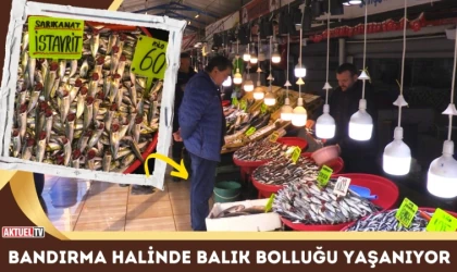 Bandırma Halinde Balık Bolluğu Yaşanıyor