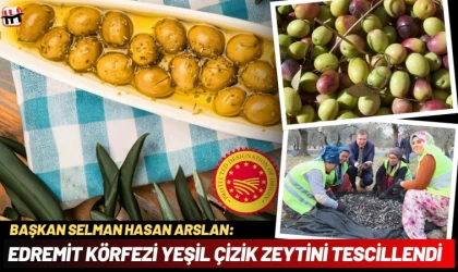 Edremit Körfezi Yeşil Çizik Zeytini AB Tarafından Tescillendi