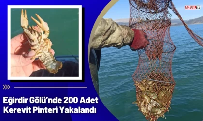 Eğirdir Gölü’nde 200 Adet Kerevit Pinteri Yakalandı
