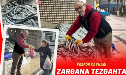 Fosfor Kaynağı Zargananın Kilosu 150 Lira