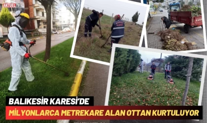 Karesi’de Milyonlarca Metrekare Alan Ottan Kurtuluyor