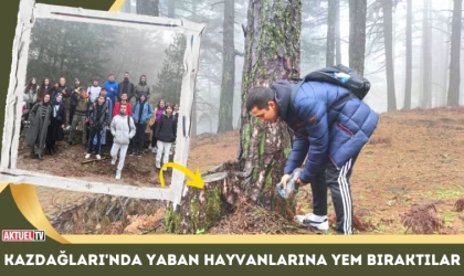 Kazdağları'nda Yaban Hayvanlarına Yem Bıraktılar