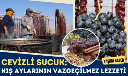 Kış Aylarının Vazgeçilmez Lezzeti 'Cevizli Sucuk'