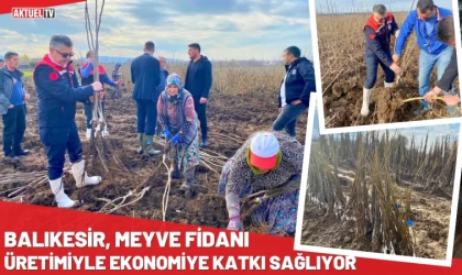 Meyve Fidanı Üretimiyle Ekonomiye Katkı Sağlıyor
