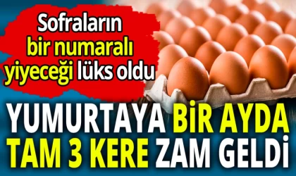 Yumurtaya Bir Ayda Tam 3 Kere Zam Geldi