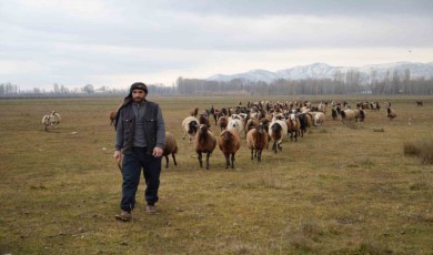 Kar yağmaması besicilere tasarruf sağlıyor