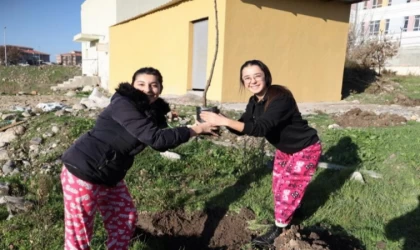 Manisa Büyükşehir gençleri toprakla buluşturdu