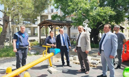 BAŞKAN LAPANTA, MESİRE ALANLARINA EL ATTI